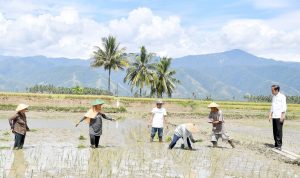 5416WhatsApp_Image_2024-03-27_at_12.40.50