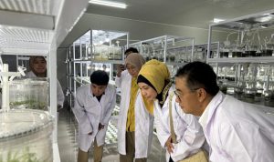 WhatsApp-Image-2024-03-22-at-9.51.28-PM-1024x727